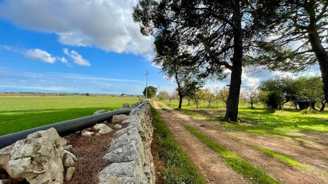 Masseria Elefante Turi Ngoại thất bức ảnh