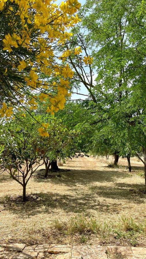 Masseria Elefante Turi Ngoại thất bức ảnh