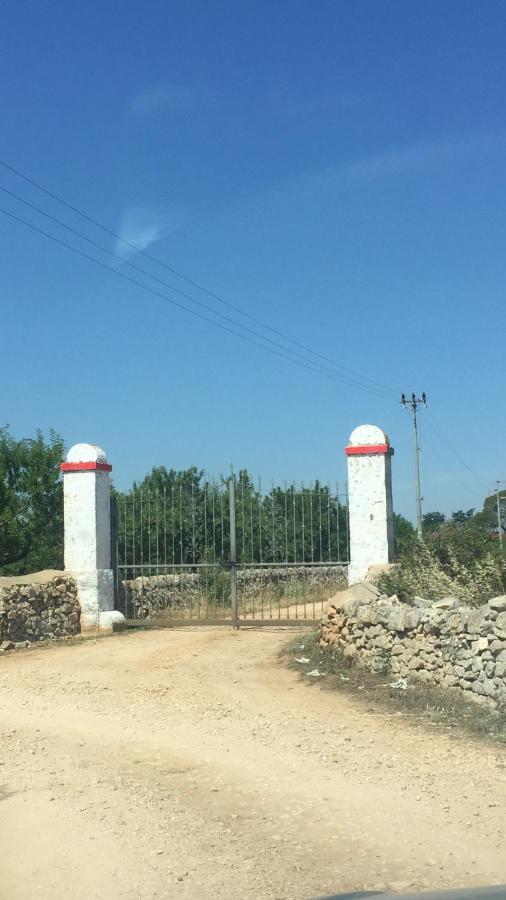 Masseria Elefante Turi Ngoại thất bức ảnh